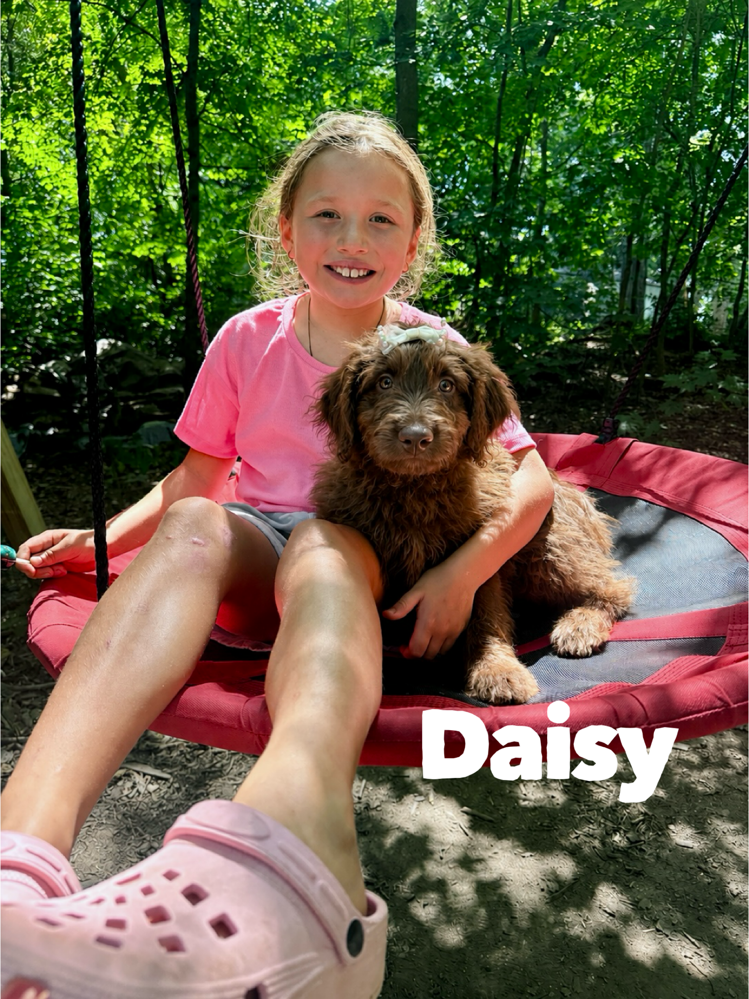 Daisy 1